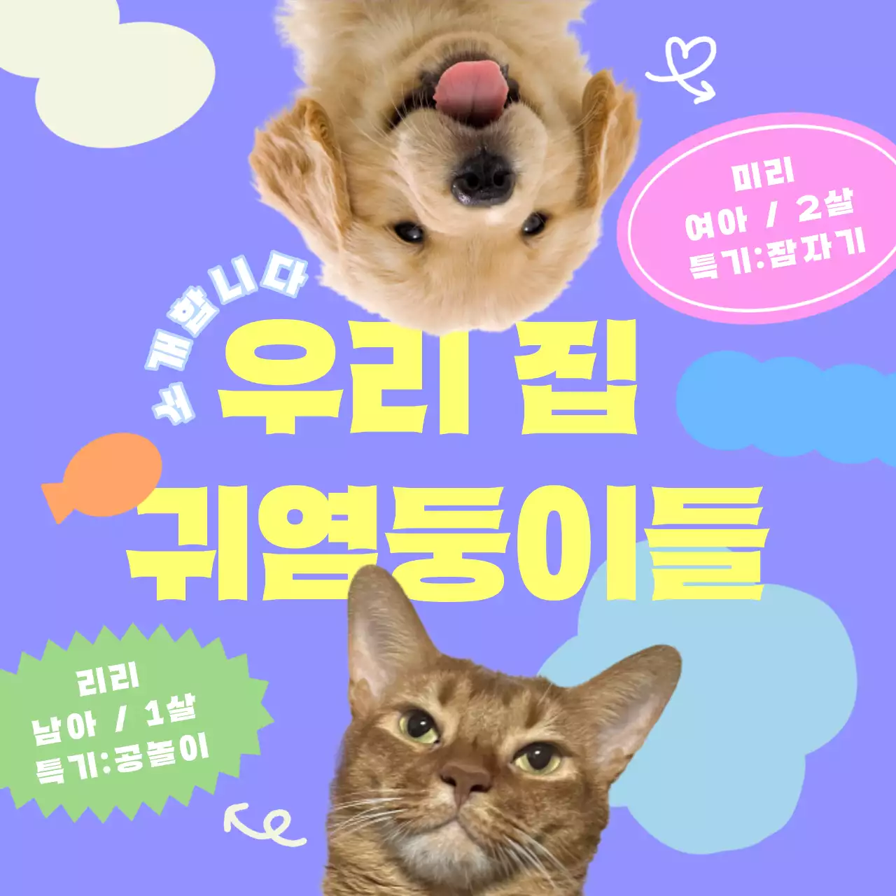 보라색의 아기자기한 우리집 반려동물 홍보