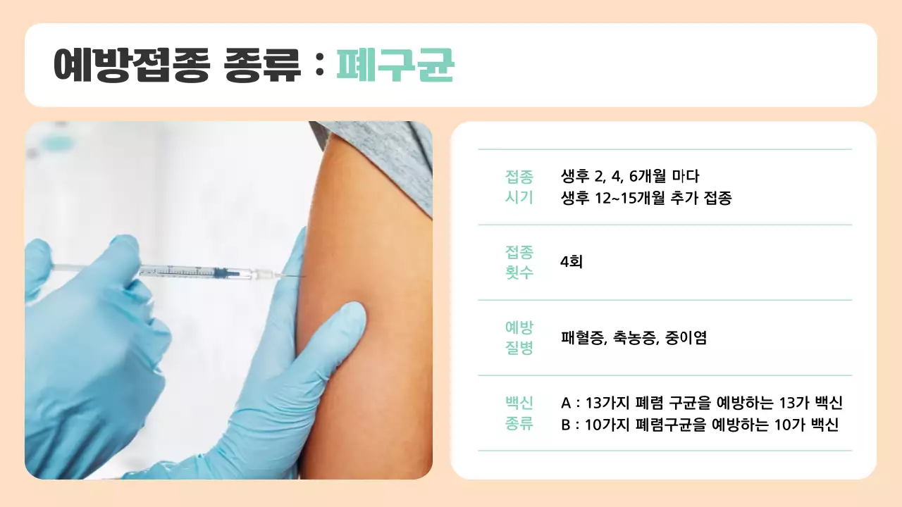 베이지색과 민트색의 아기자기한 예방접종 안내 소개서