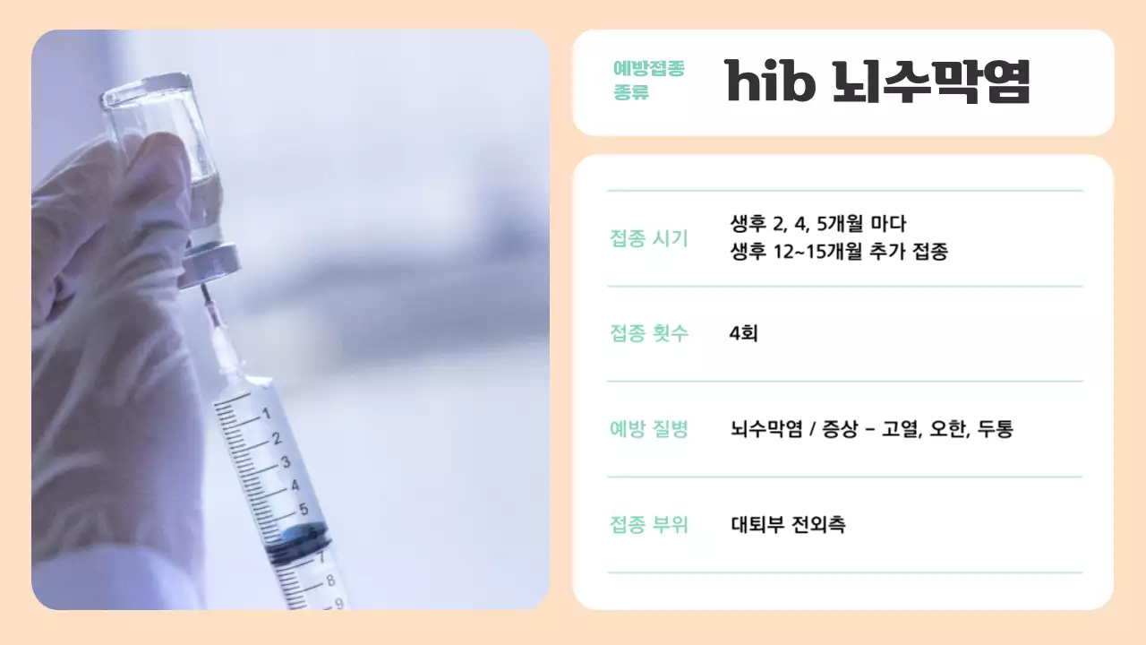 베이지색과 민트색의 아기자기한 예방접종 안내 소개서