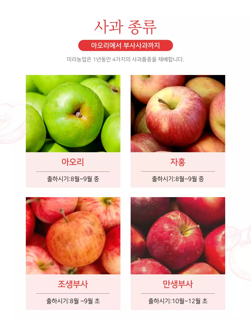 빨강과 흰색의 자연적인 사과 판매 홍보