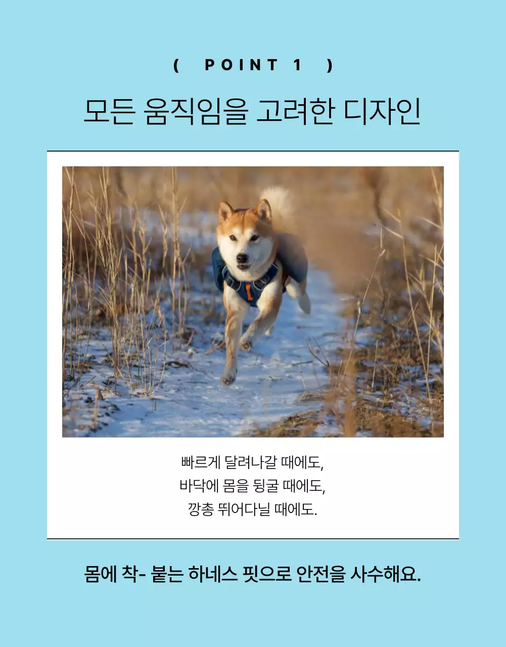 노랑과 주황색의 심플한 강아지 리드줄 홍보