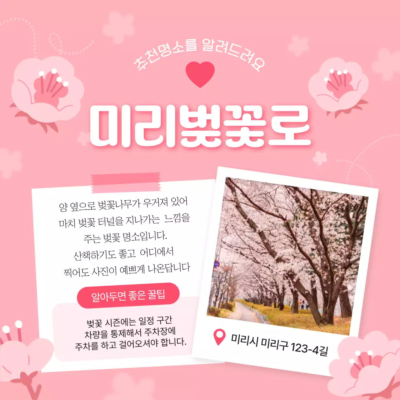 핑크색과 흰색의 아기자기한 벚꽃 명소 소개서