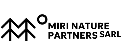 Conservation simple de la nature avec des illustrations d'arbres