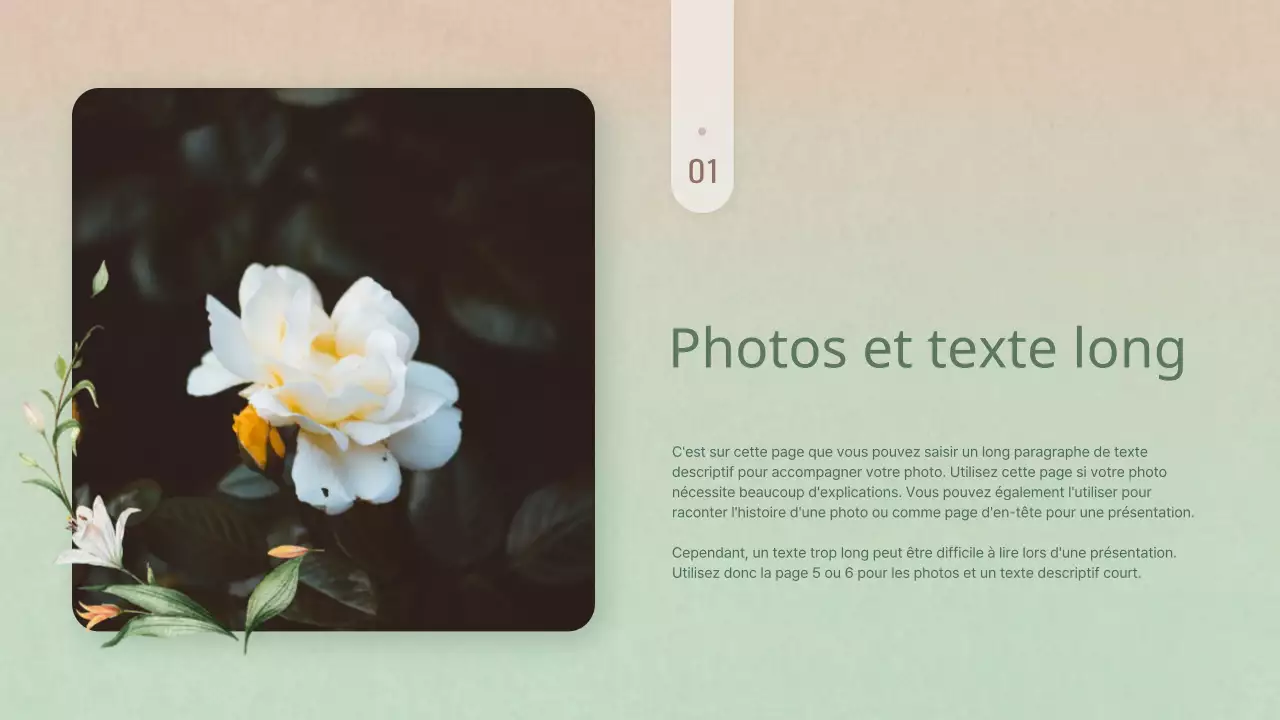 Présentation de simples fleurs d'hiver en rose et jaune