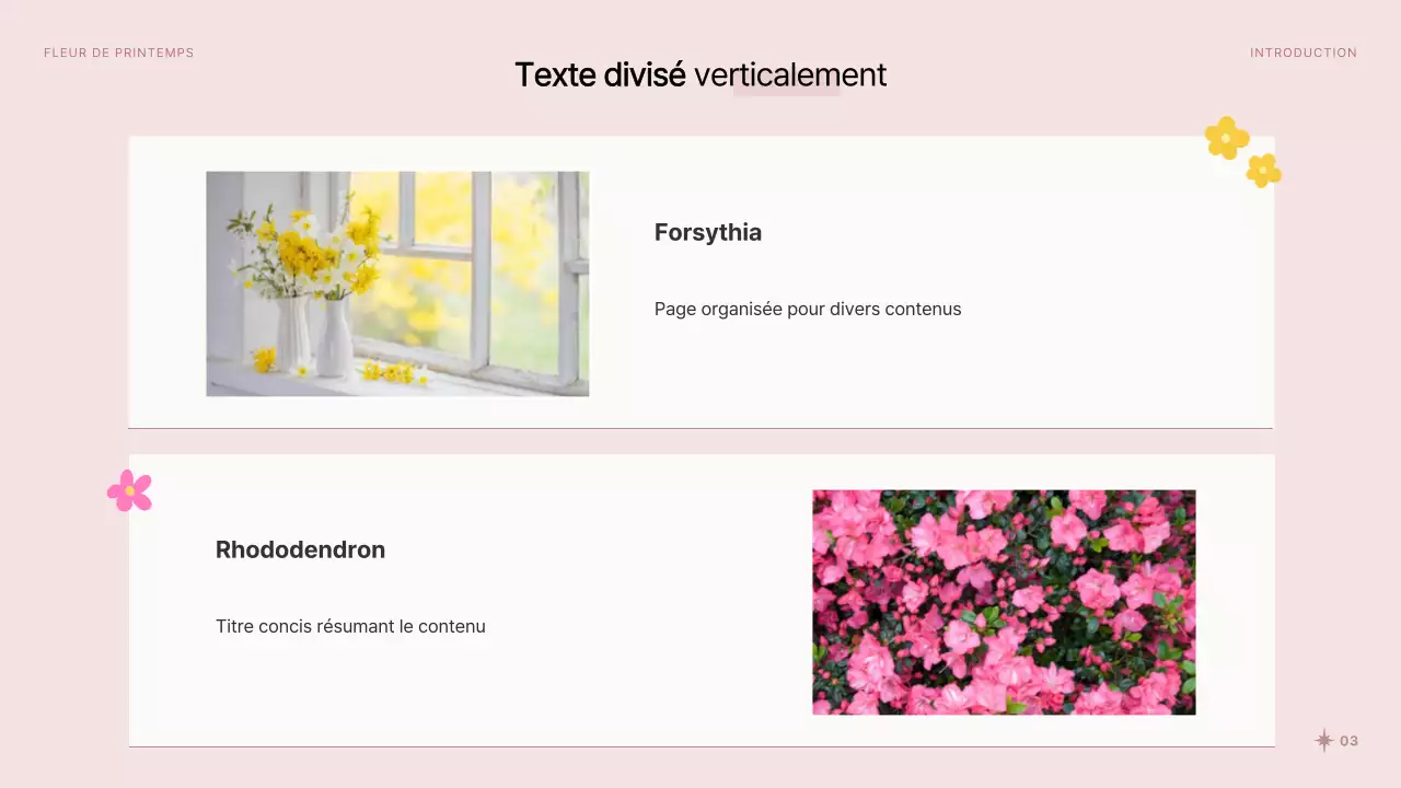 Jolies fleurs printanières en présentation rose et blanche