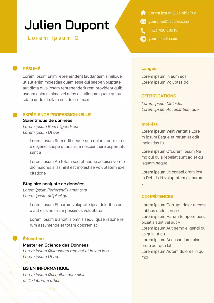 Curriculum vitae géométrique jaune et blanc d'un scientifique des données