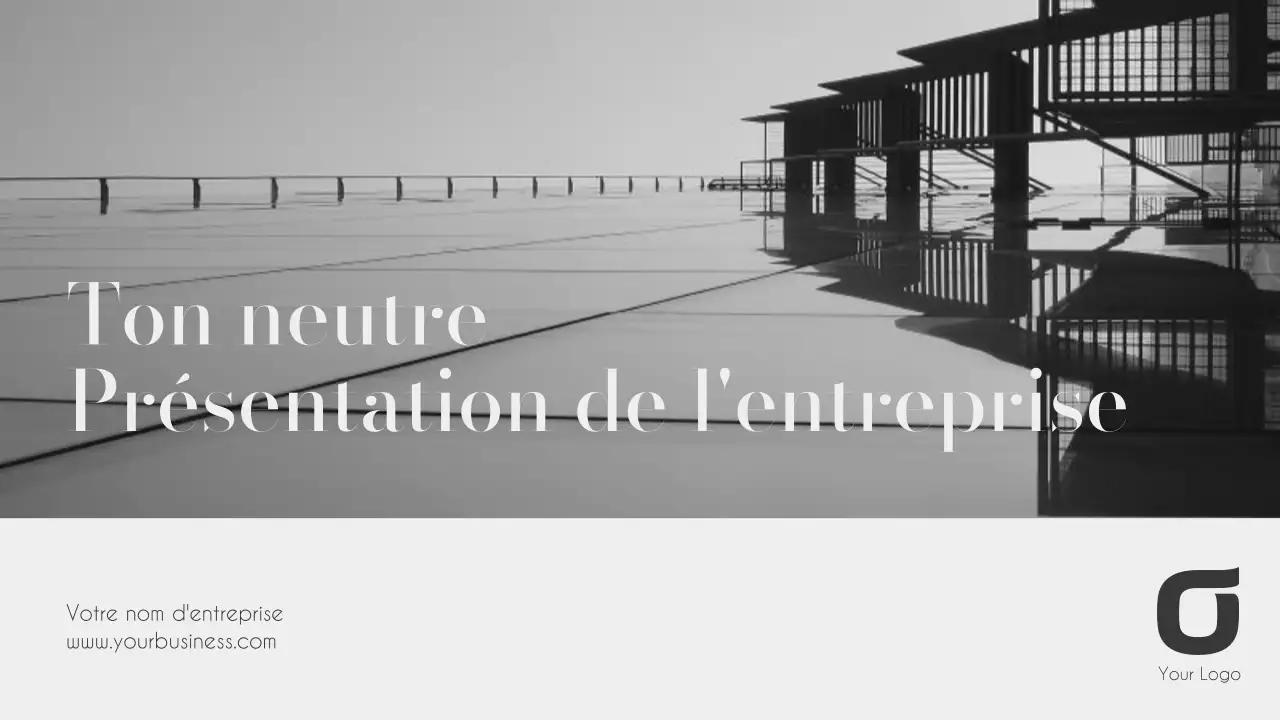 Rapports d'activité élégants en noir et blanc