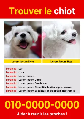 Prospectus simple rouge et jaune pour animaux perdus