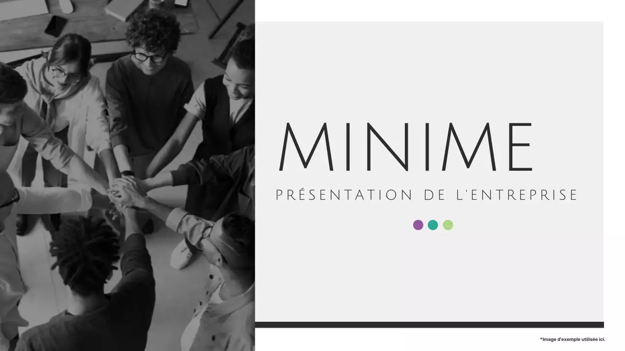 Matériaux élégants pour les rapports d'activité en noir et blanc