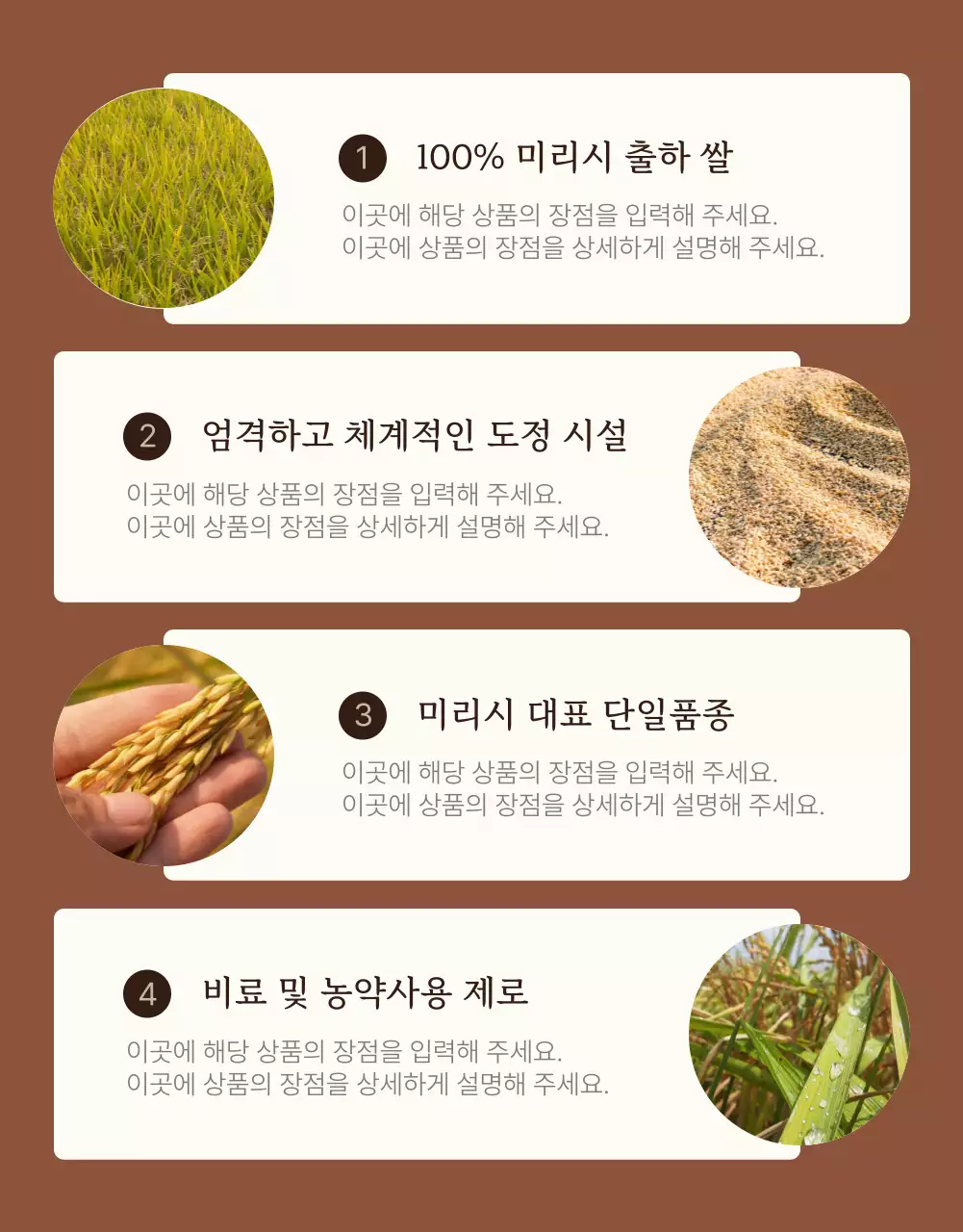 갈색과 아이보리색의 모던한 유기농 쌀 소개서