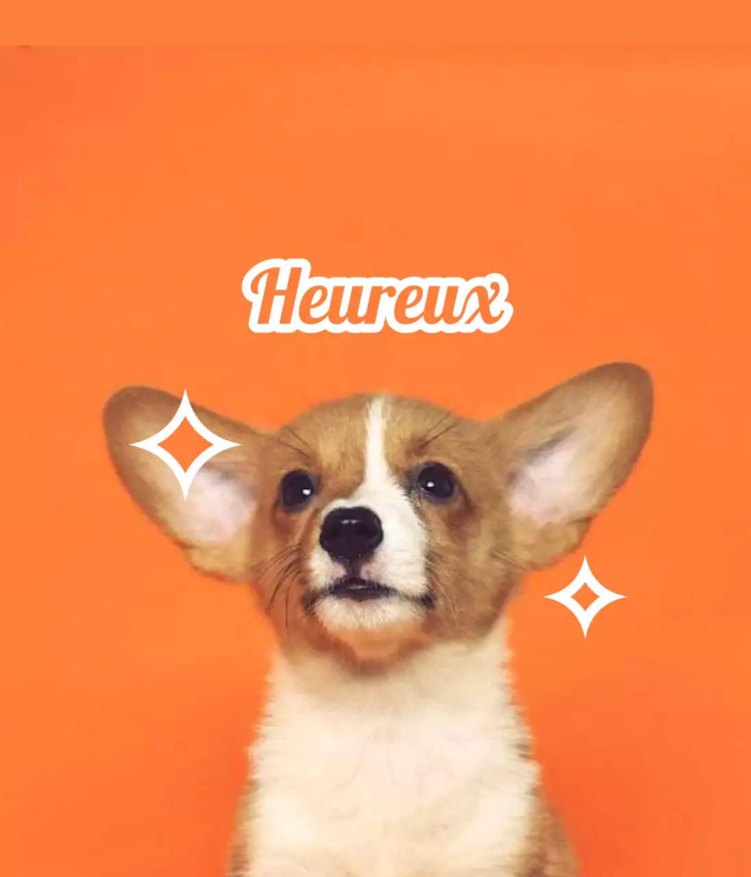 Créer des badges avec des photos d'animaux mignons