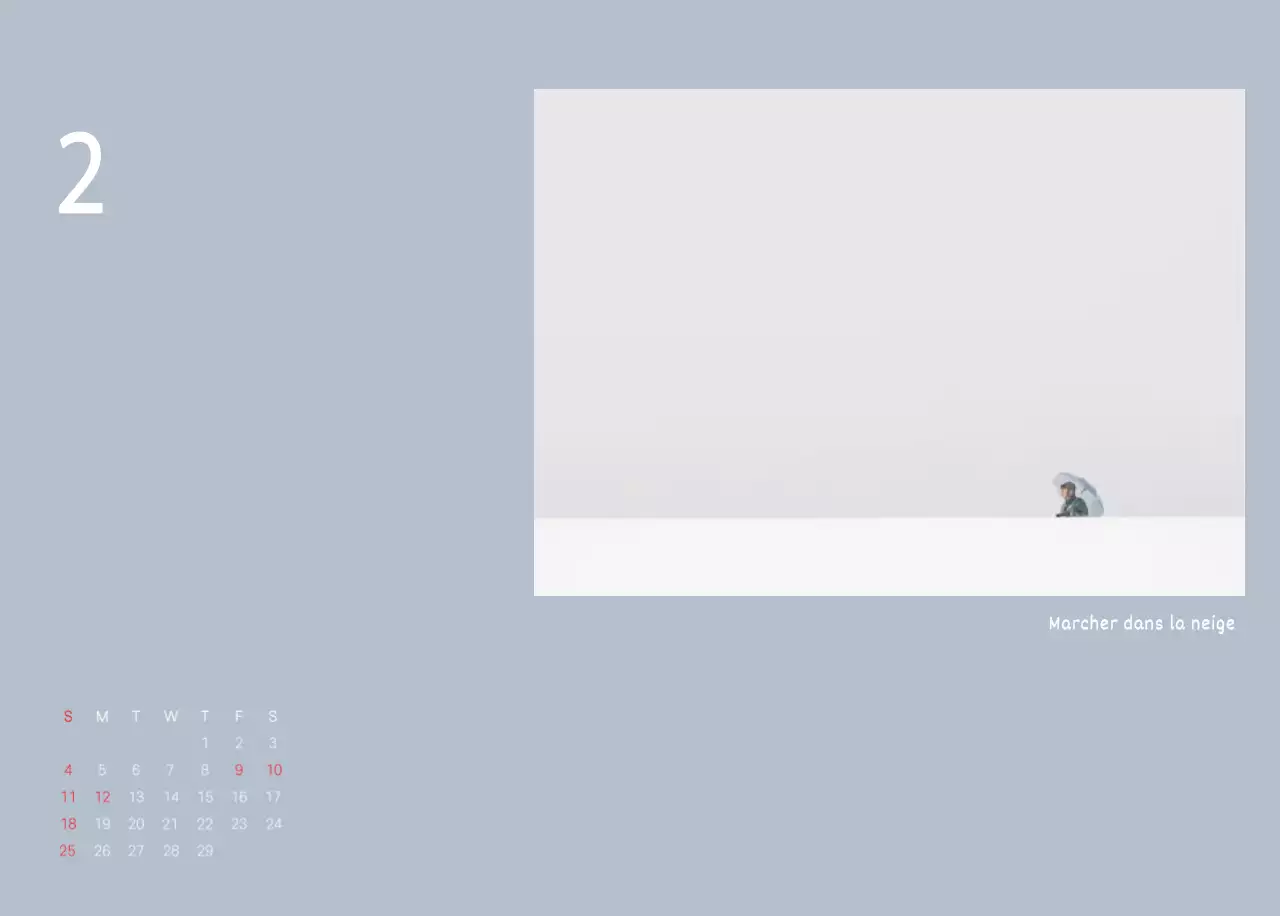 Nature botanique blanche et propre