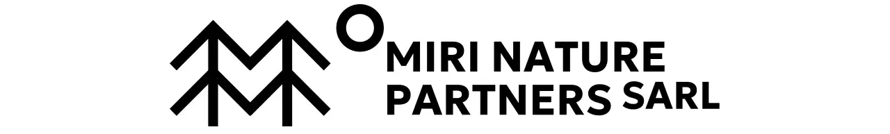 Conservation simple de la nature avec des illustrations d'arbres