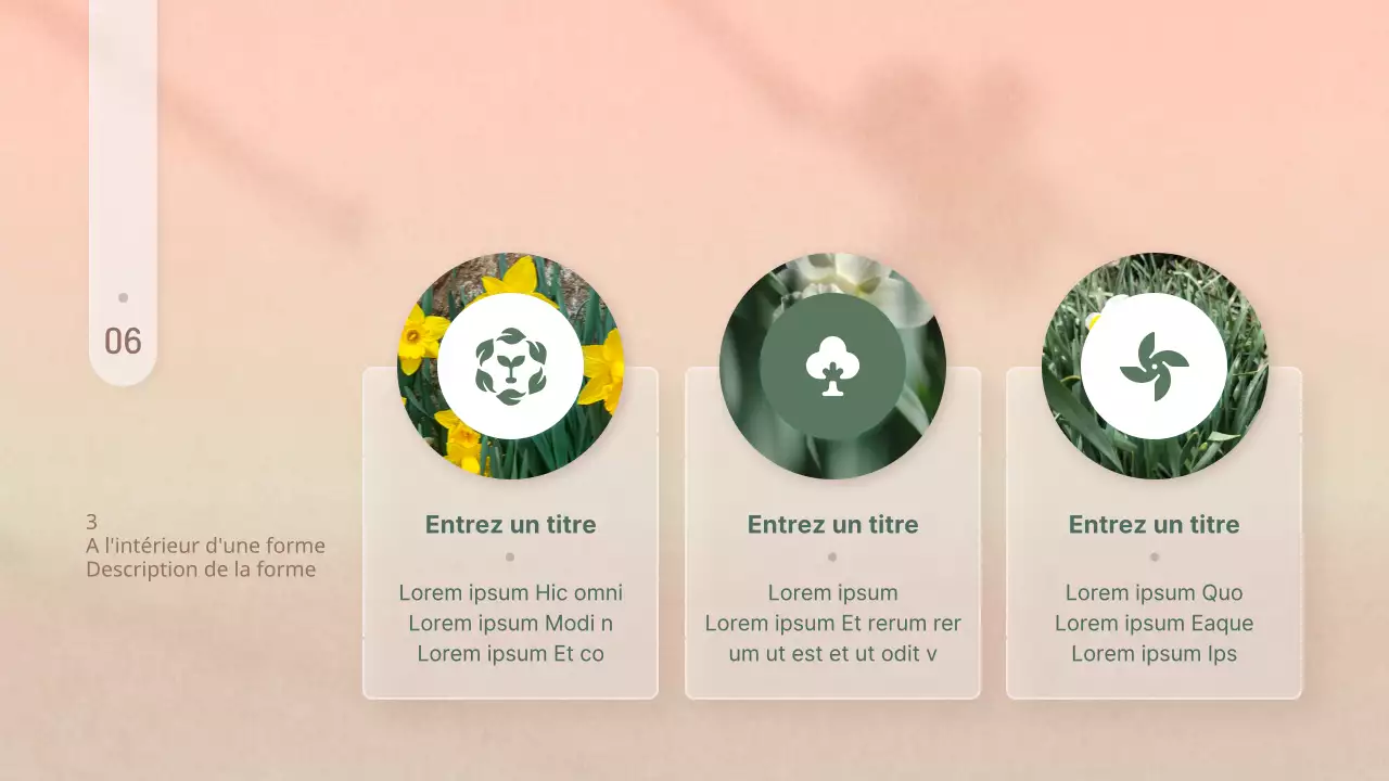 Présentation de simples fleurs d'hiver en rose et jaune