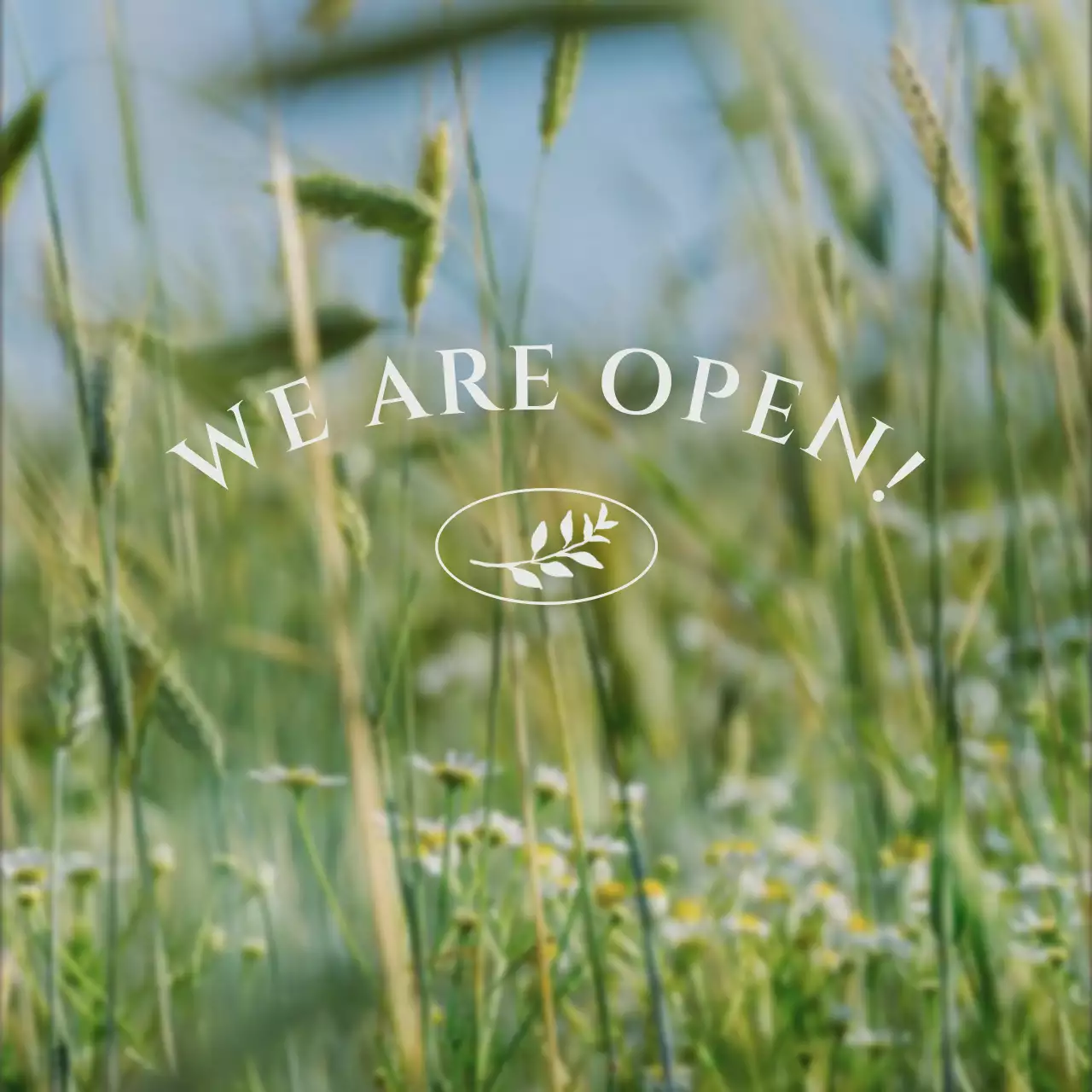 초록의 심플한 브랜드 소셜미디어 sns 마케팅 모음 홍보