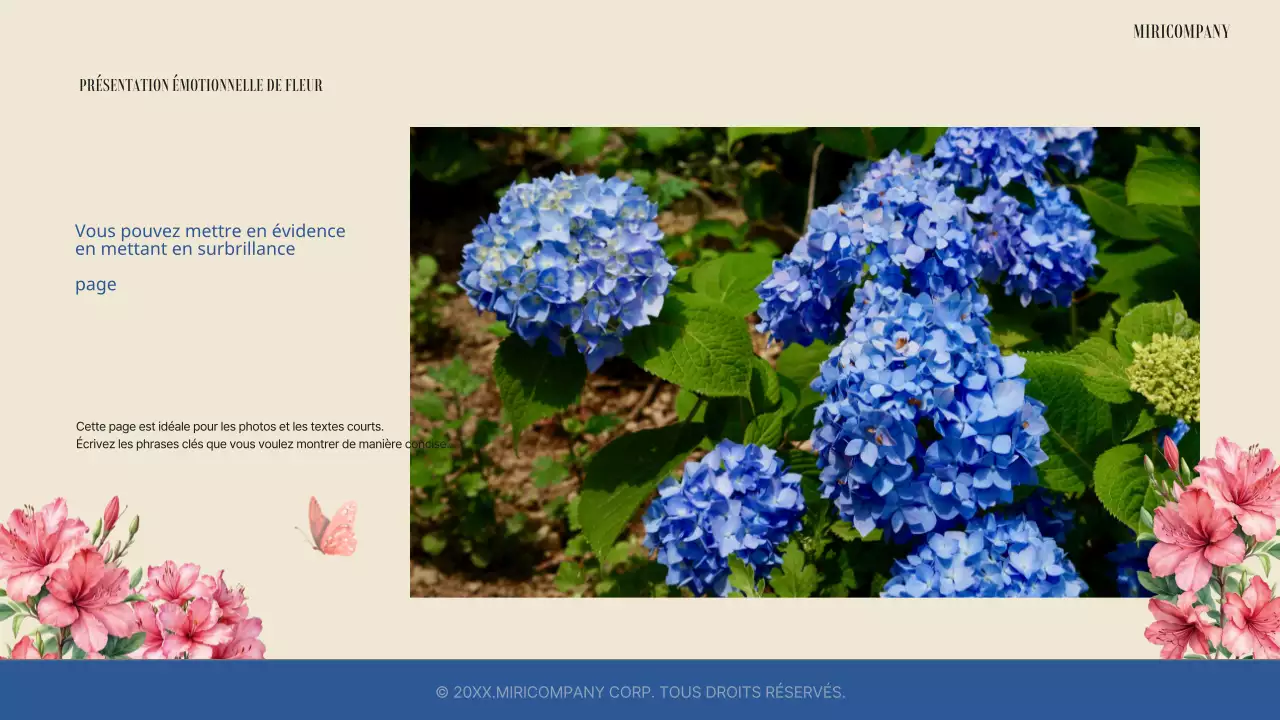 Présentation florale printanière simple et sentimentale en bleu et ivoire