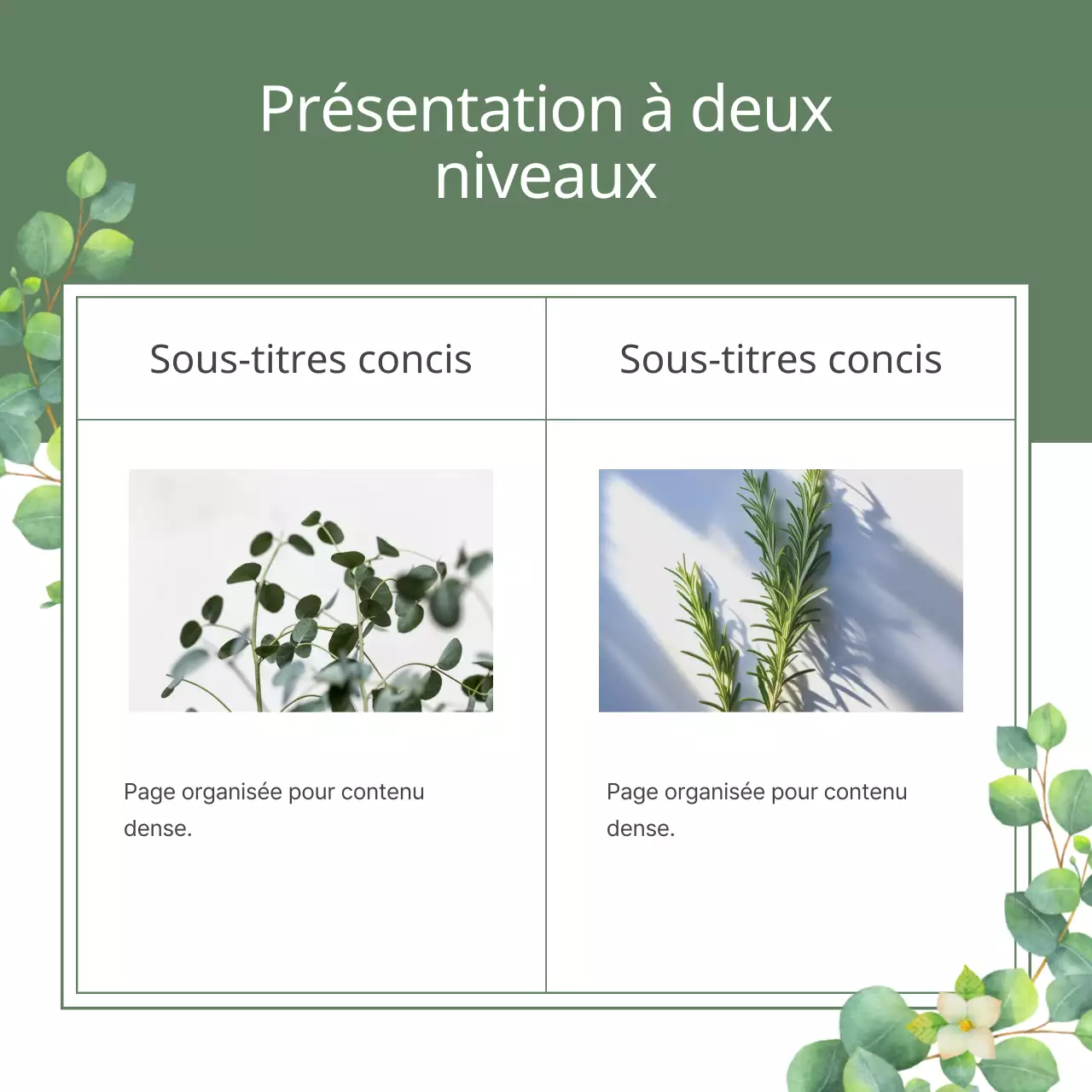 Une illustration botanique avec une touche de vert et de printemps naturel Expliqué