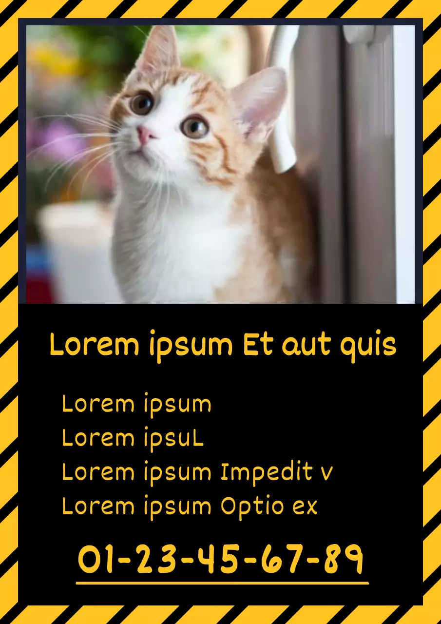 Prospectus simple sur la disparition d'un chat jaune et noir