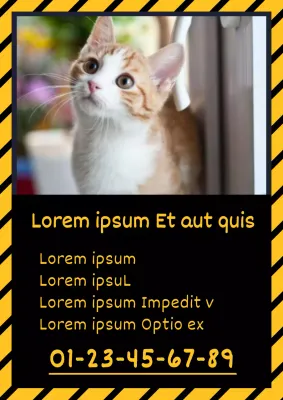Prospectus simple sur la disparition d'un chat jaune et noir
