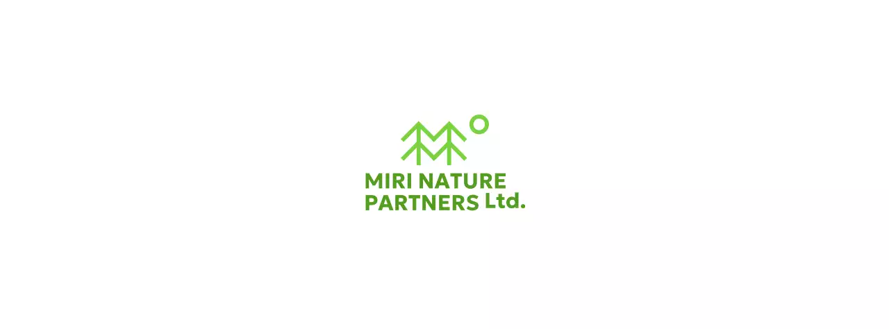 Conservation de la nature avec des illustrations simples d'arbres et des couleurs vertes