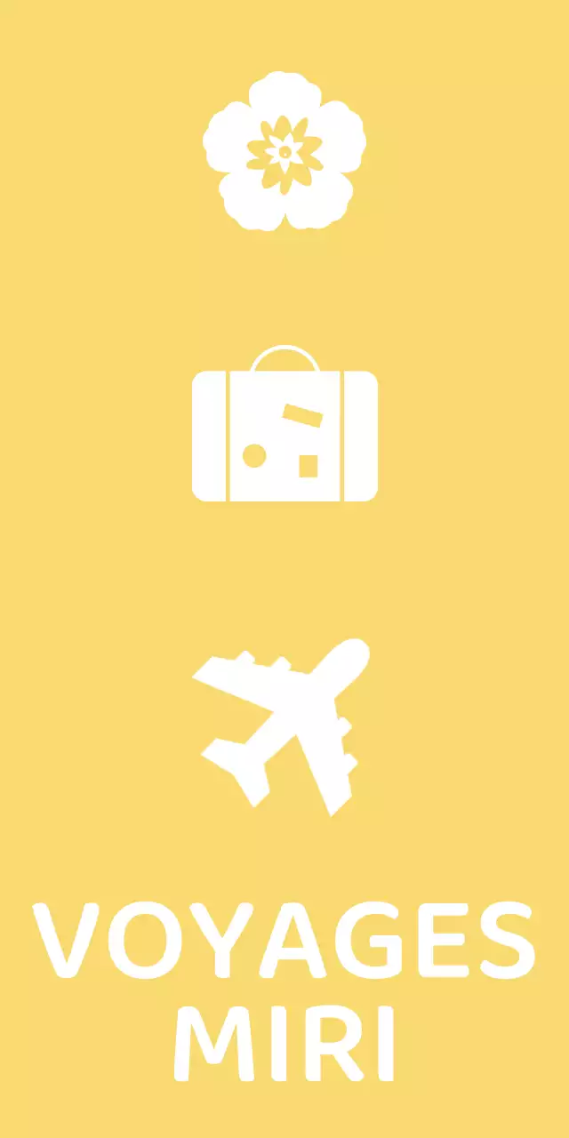 Marchandise d'agence de voyage avec icônes de l'aviation de voyage