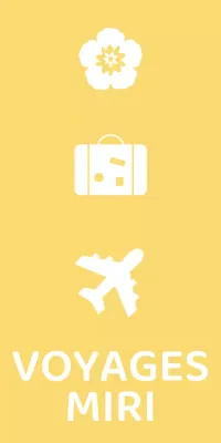 Marchandise d'agence de voyage avec icônes de l'aviation de voyage