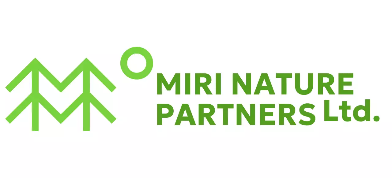 Conservation de la nature avec des illustrations simples d'arbres et des couleurs vertes