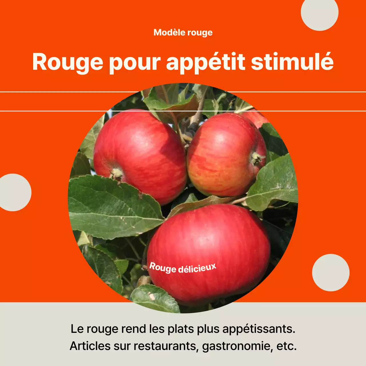 Modèle de lettre d'information irisée et moderne