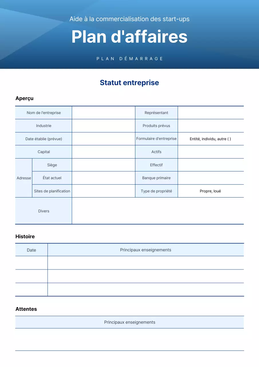 Le plan d'affaires simple de Blue