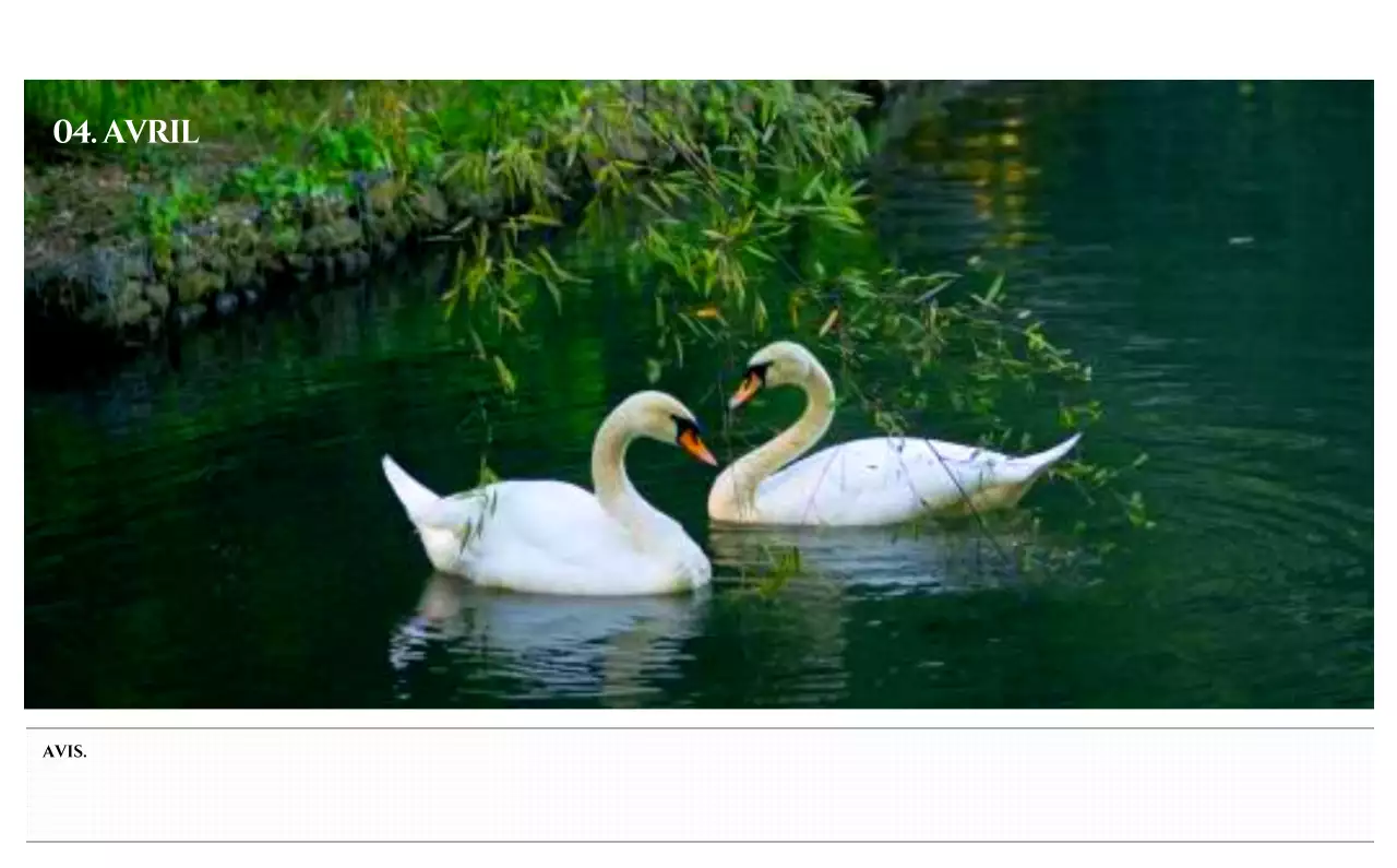 Calendrier mural de style simple avec concept de photographie de voyage émotionnelle en noir et blanc