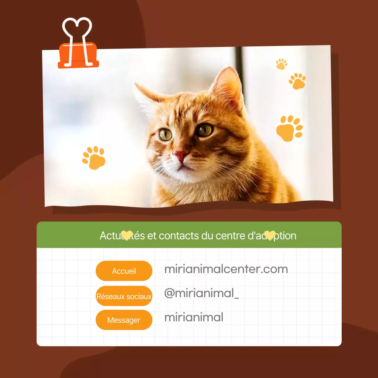 Faites la promotion de votre centre d'adoption d'animaux de compagnie dans un style orange et mignon