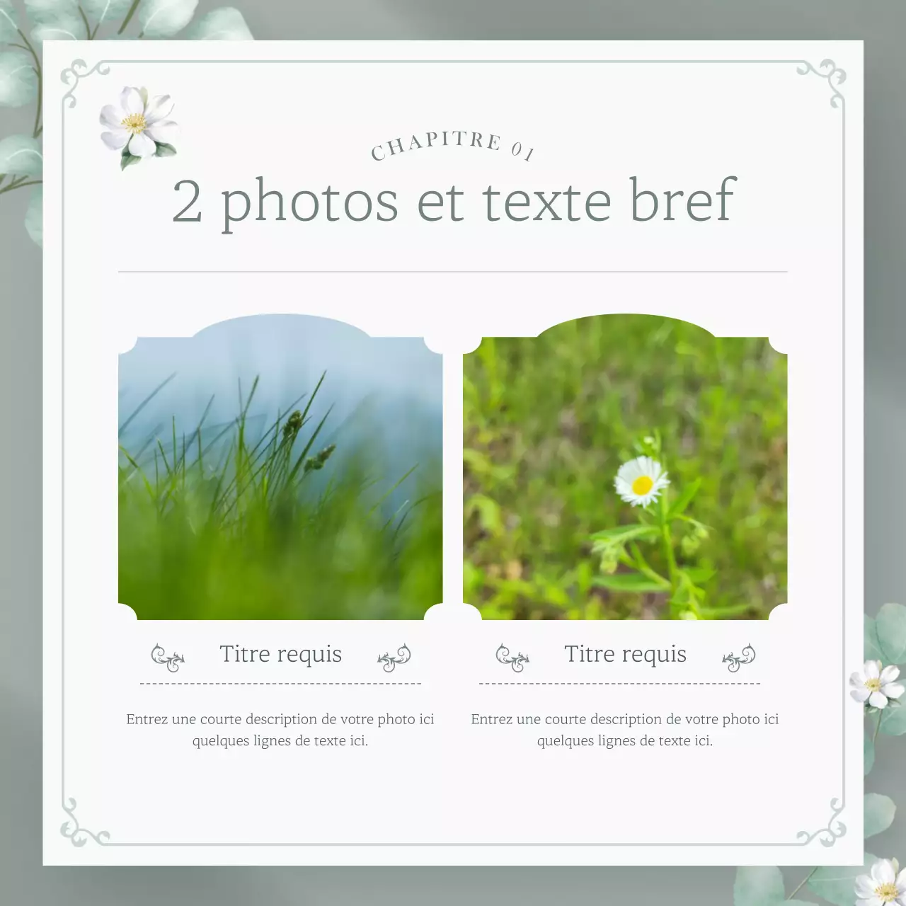Lettre d'information florale luxueuse en beige et vert