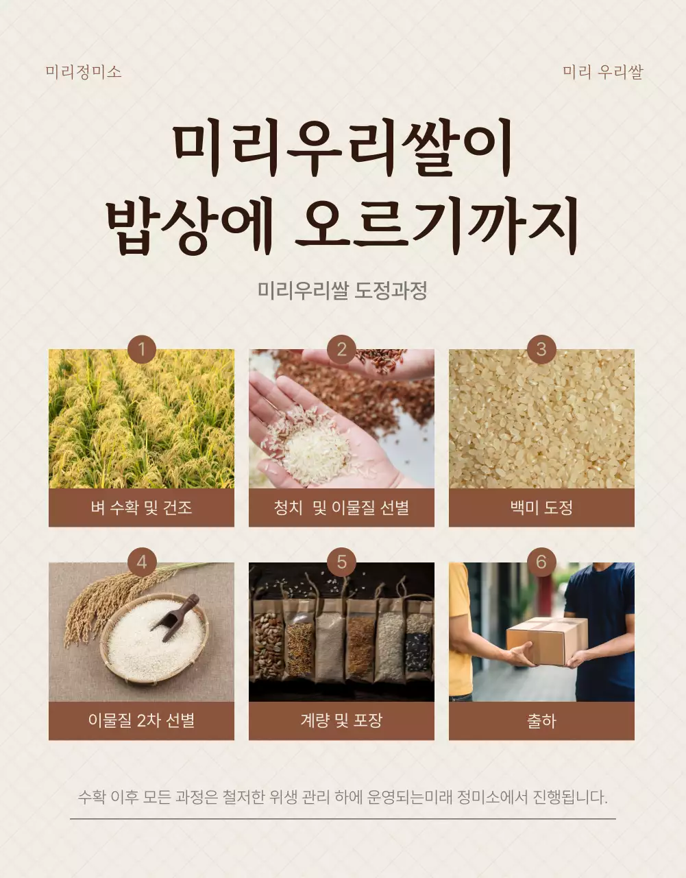 갈색과 아이보리색의 모던한 유기농 쌀 소개서