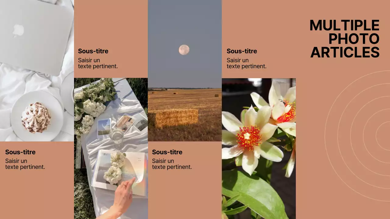 Brown and Black Minimal Multiple Layout Pages Report (Rapport sur les pages minimales à mise en page multiple)