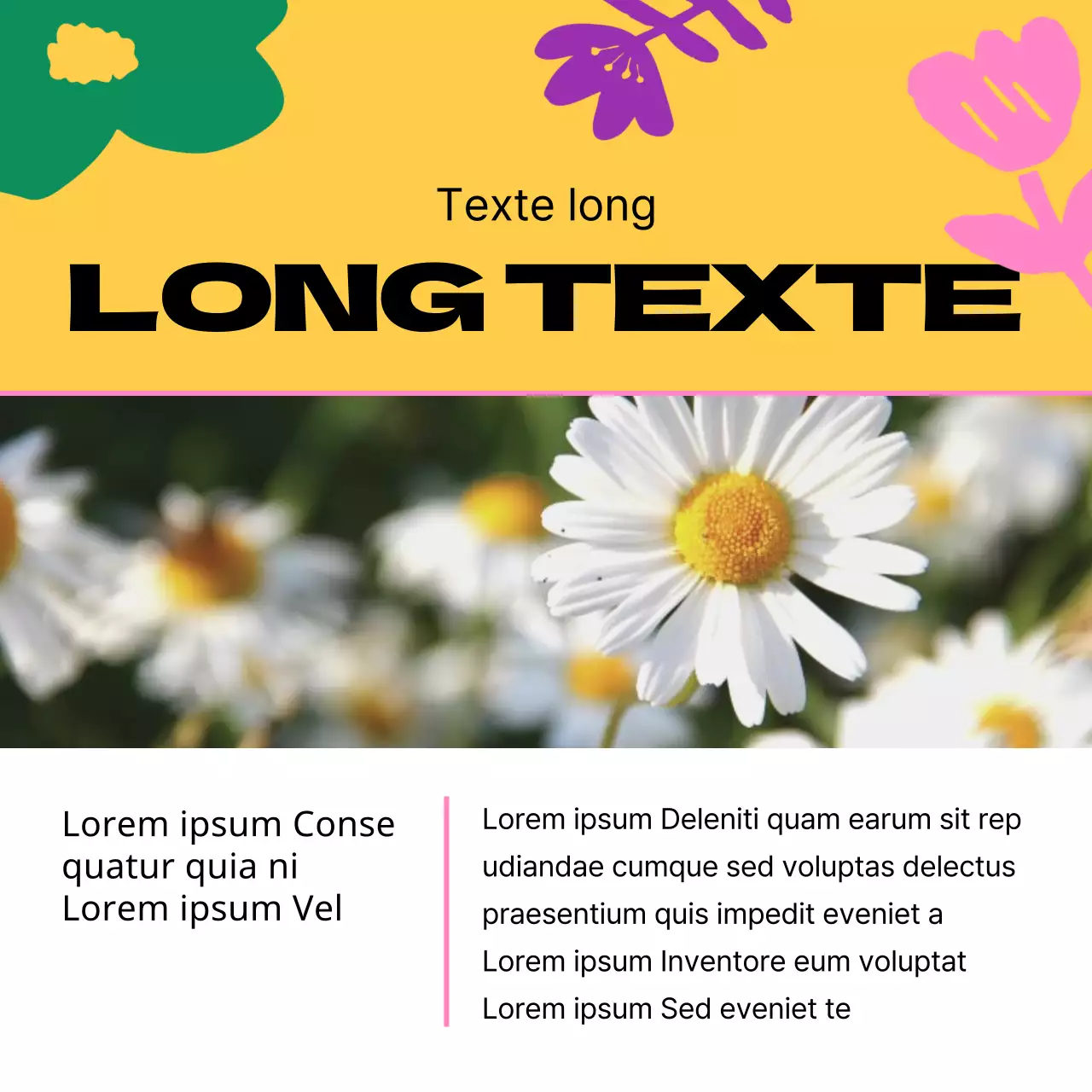 Guide des jolies fleurs de printemps jaunes et roses