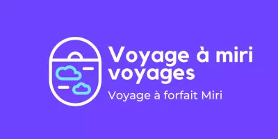Logo d'agence de voyage simple, propre et illustré