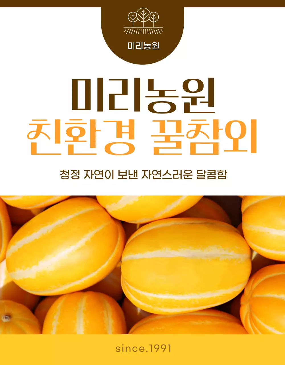 노랑의 심플한 참외 홍보