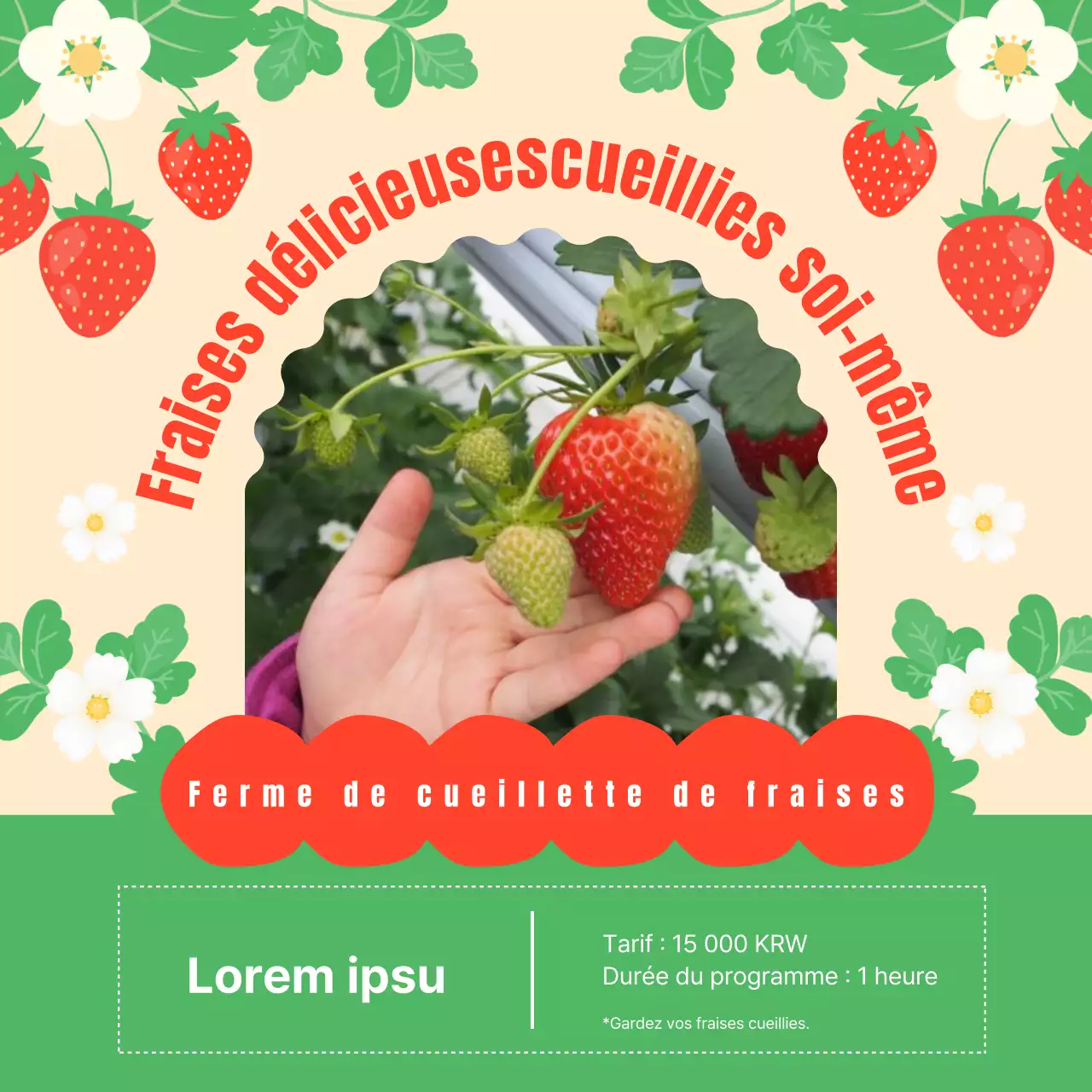 Promouvoir les fermes de cueillette de fraises rouges et vertes