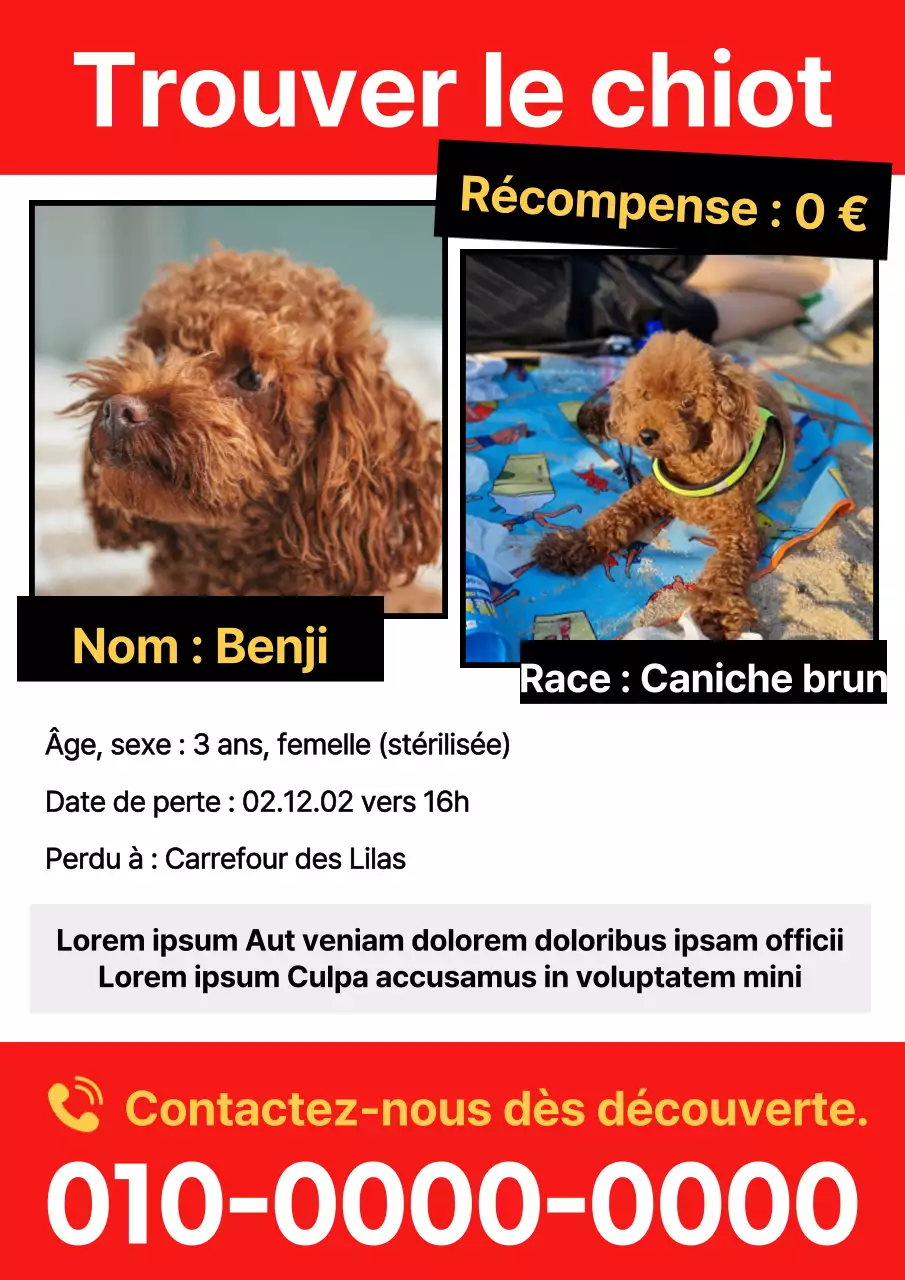 Publier un simple avis de recherche d'animal rouge