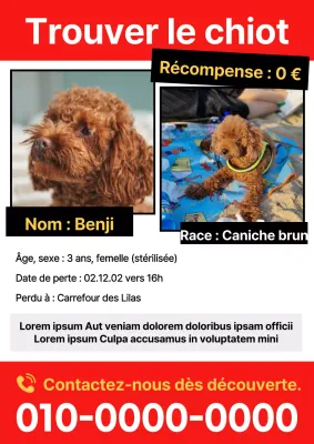 Publier un simple avis de recherche d'animal rouge