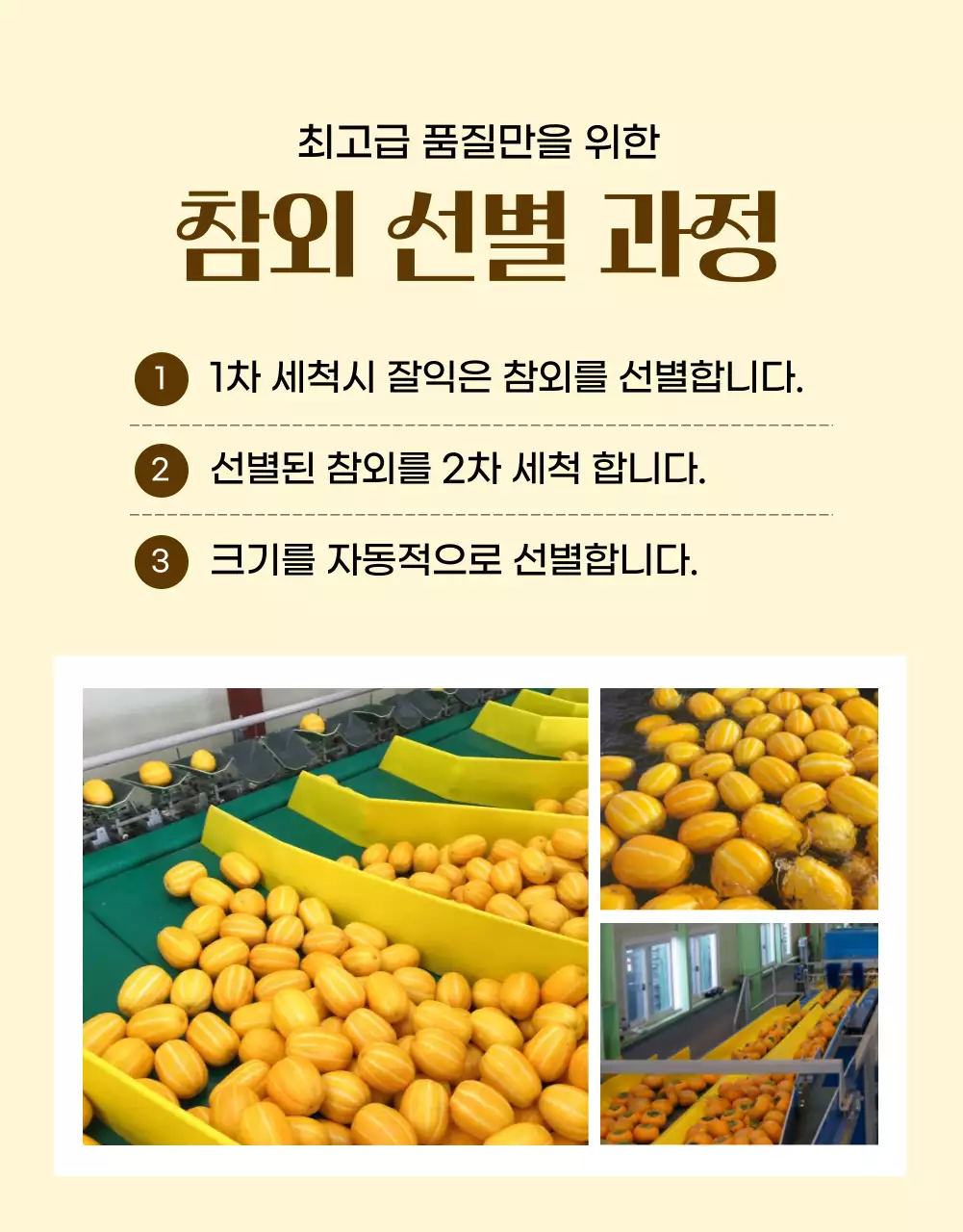 노랑의 심플한 참외 홍보