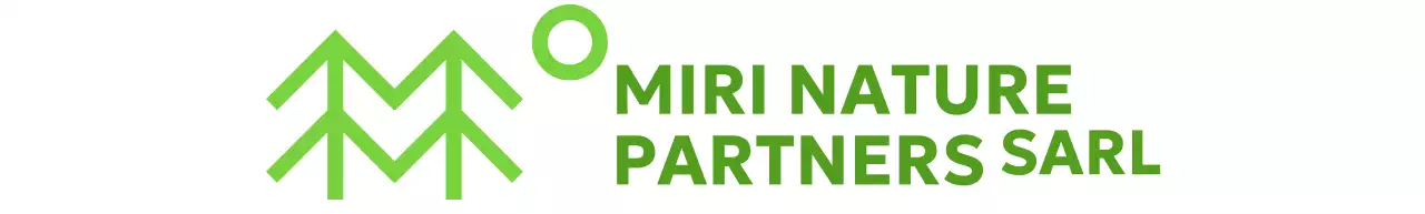 Conservation simple de la nature avec des illustrations d'arbres et des couleurs vertes