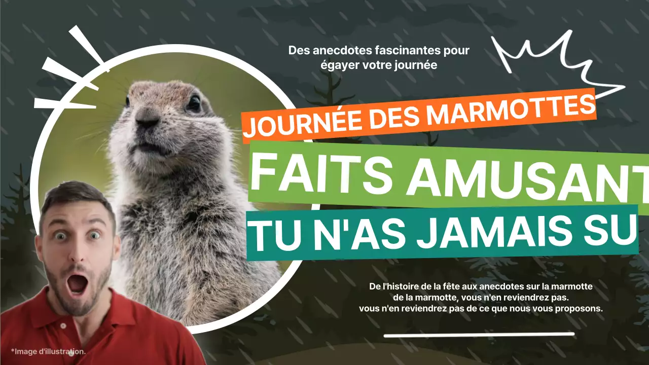 La marmotte verte et orange flashy Faits amusants sur la journée de la marmotte Introduction