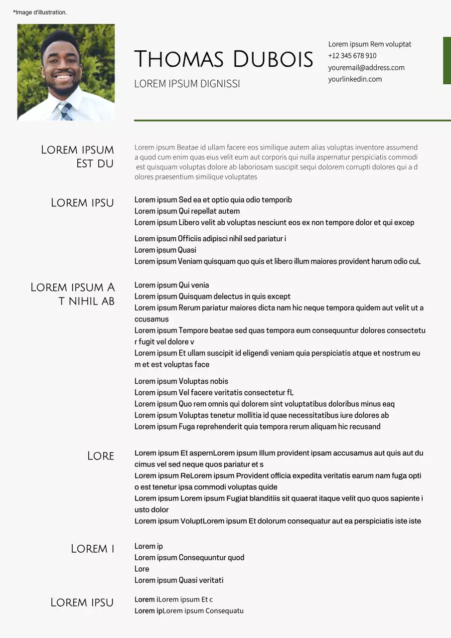 C.V. simple de représentant des ventes, blanc et vert