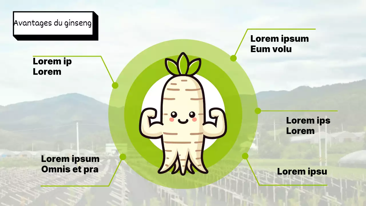 Guide du festival du ginseng vert et rétro