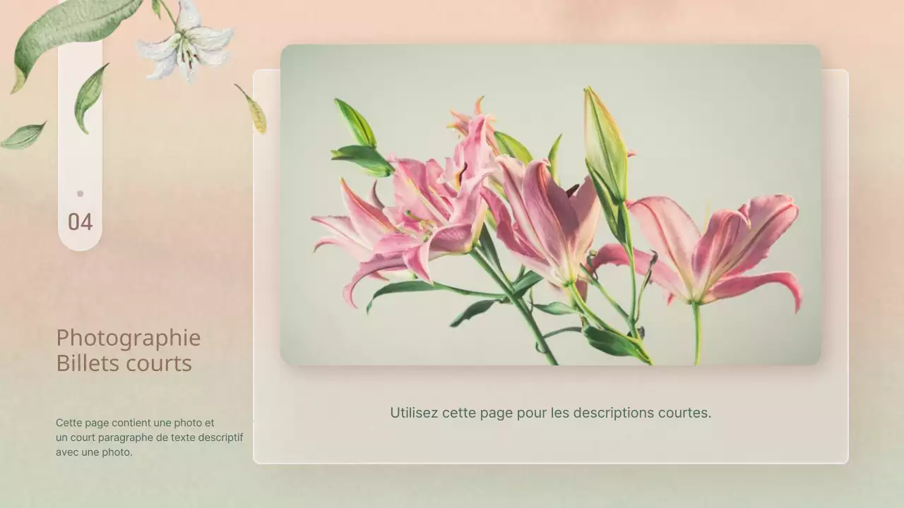 Présentation de simples fleurs d'hiver en rose et jaune