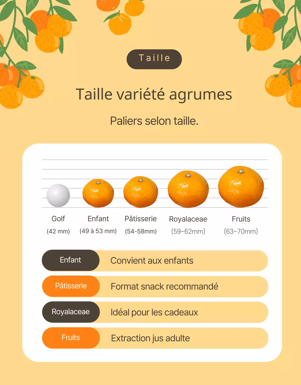 Promouvoir l'orange et les agrumes