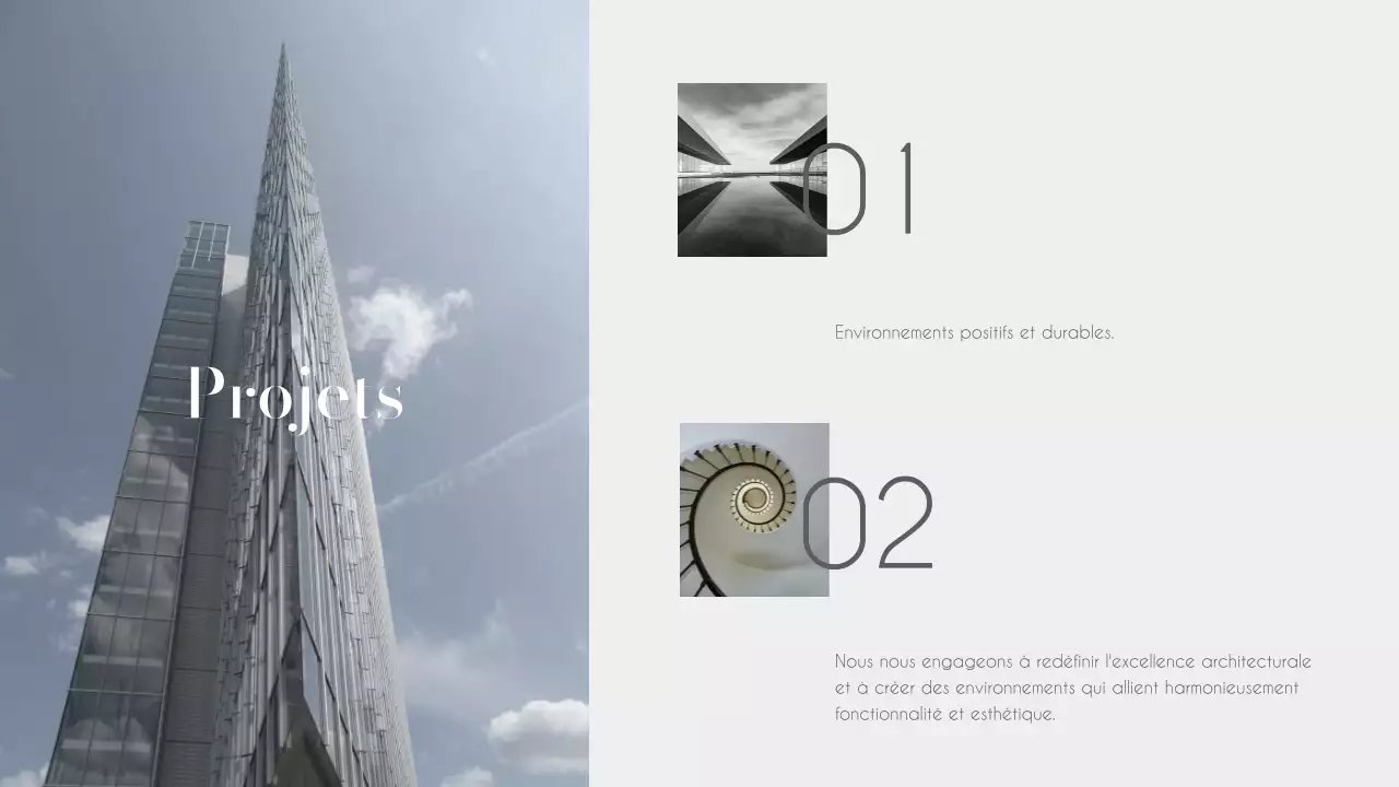 Rapports d'activité élégants en noir et blanc