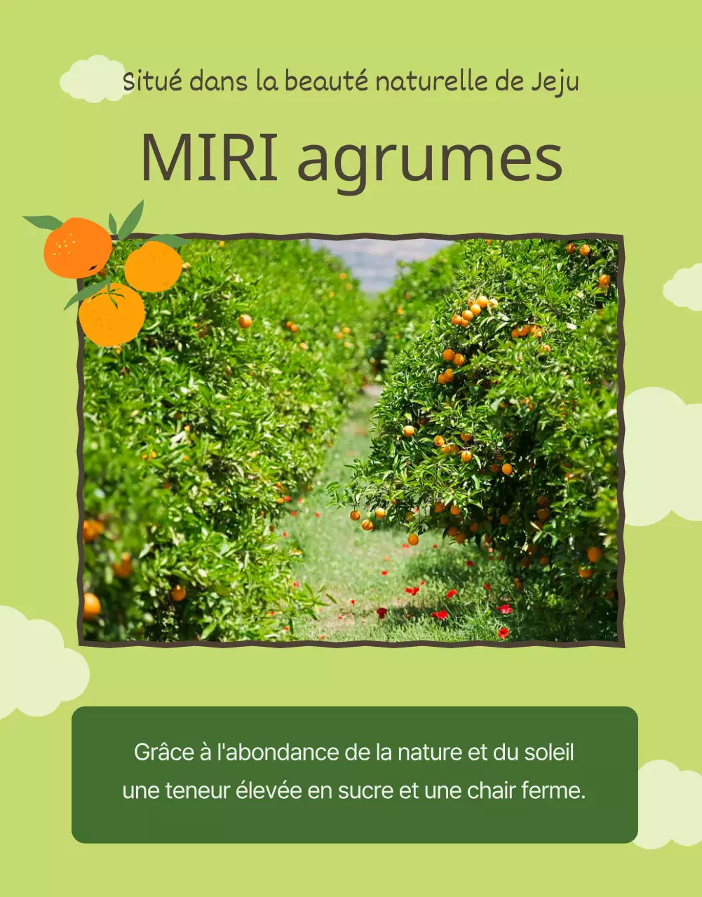 Promouvoir l'orange et les agrumes