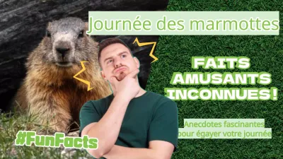 Vert et jaune flashy Le jour de la marmotte Faits amusants Introduction